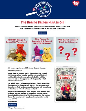 Ty Beani Babies TikTok video submissions